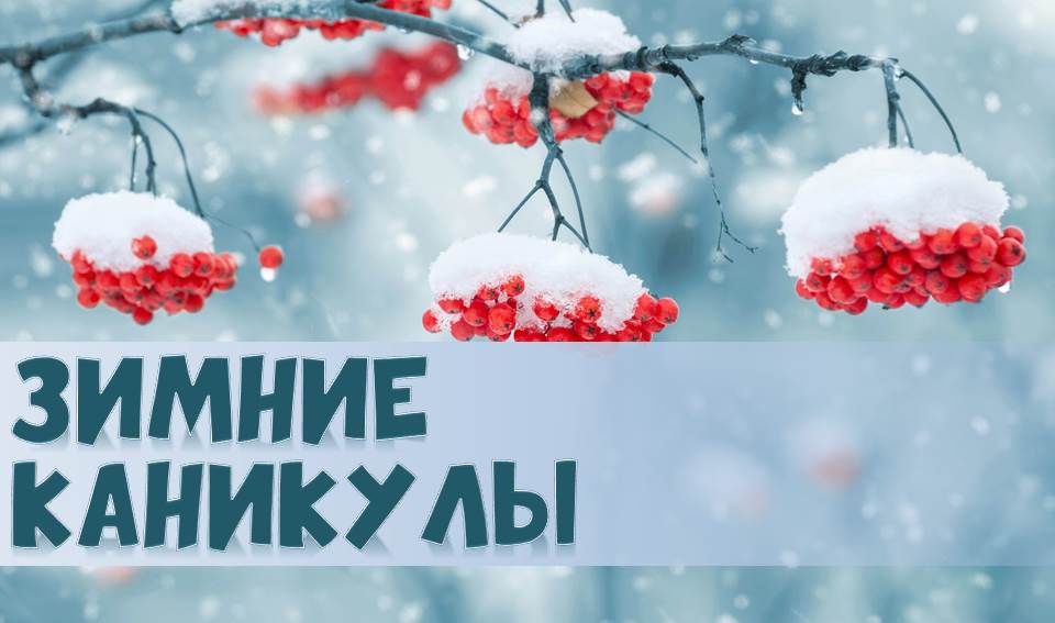 зимние каникулы